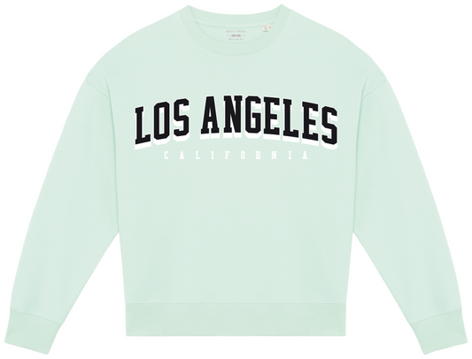 Sweatshirt oversize Beflyparis